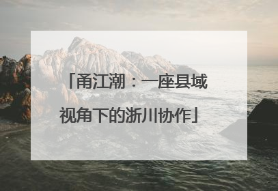 甬江潮：一座县域视角下的浙川协作