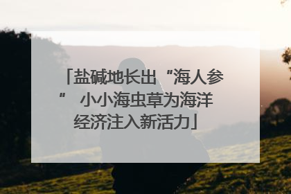 盐碱地长出“海人参” 小小海虫草为海洋经济注入新活力