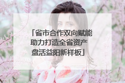 省市合作双向赋能 助力打造全省资产盘活益阳新样板