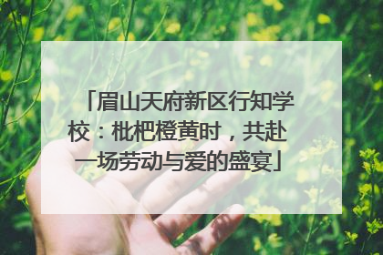 眉山天府新区行知学校：枇杷橙黄时，共赴一场劳动与爱的盛宴