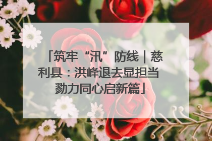 筑牢“汛”防线｜慈利县：洪峰退去显担当 勠力同心启新篇