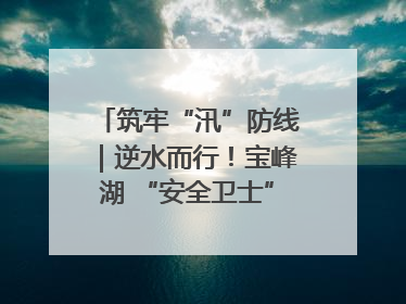 筑牢“汛”防线｜逆水而行！宝峰湖 “安全卫士” 出鞘 防汛应急再添硬核力量