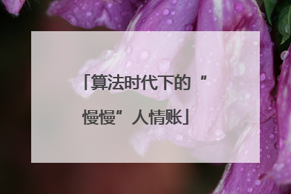 算法时代下的“慢慢”人情账