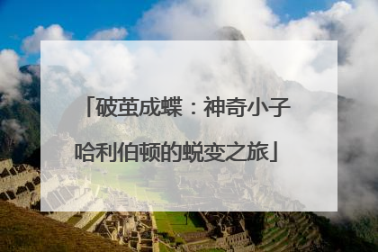 破茧成蝶：神奇小子哈利伯顿的蜕变之旅