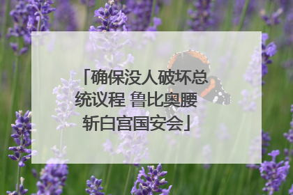 确保没人破坏总统议程 鲁比奥腰斩白宫国安会