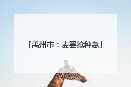 禹州市：麦罢抢种急