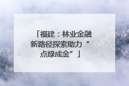 福建：林业金融新路径探索助力“点绿成金”