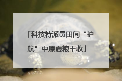 科技特派员田间“护航”中原夏粮丰收