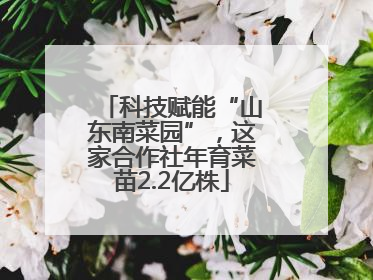 科技赋能“山东南菜园”，这家合作社年育菜苗2.2亿株