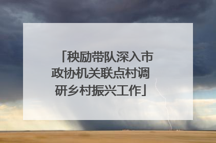 秧励带队深入市政协机关联点村调研乡村振兴工作