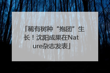 稀有树种“抱团”生长！沈阳成果在Nature杂志发表