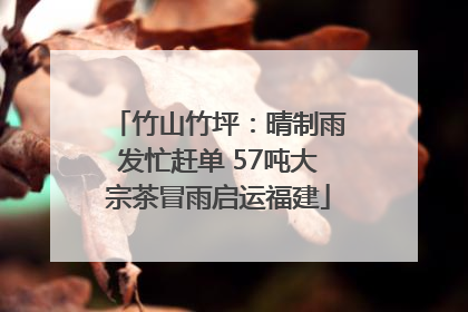 竹山竹坪：晴制雨发忙赶单 57吨大宗茶冒雨启运福建
