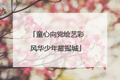 童心向党绘艺彩 风华少年耀撮城