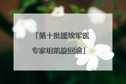 第十批援埃军医专家组凯旋回渝