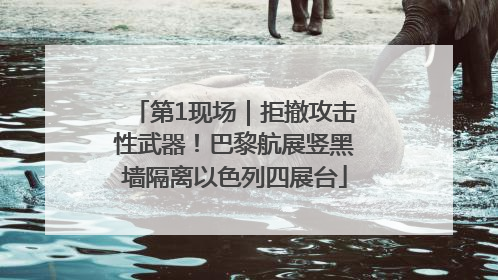 第1现场｜拒撤攻击性武器！巴黎航展竖黑墙隔离以色列四展台