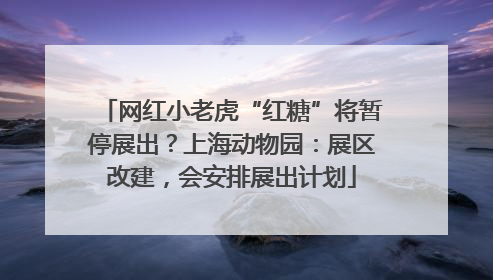 网红小老虎“红糖”将暂停展出？上海动物园：展区改建，会安排展出计划