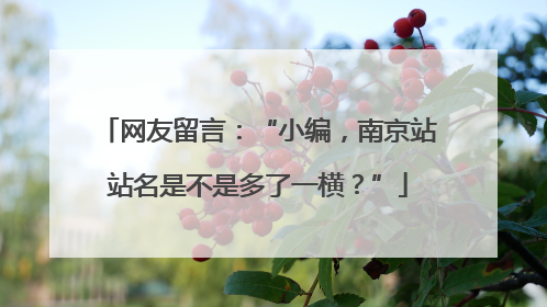 网友留言：“小编，南京站站名是不是多了一横？”