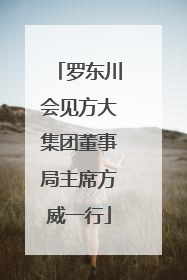 罗东川会见方大集团董事局主席方威一行