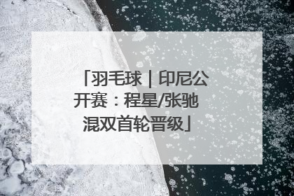羽毛球｜印尼公开赛：程星/张驰混双首轮晋级