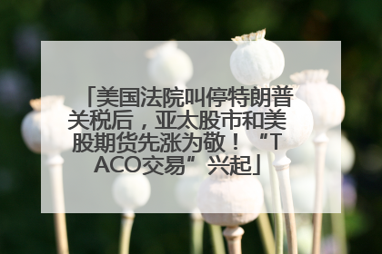 美国法院叫停特朗普关税后，亚太股市和美股期货先涨为敬！“TACO交易”兴起