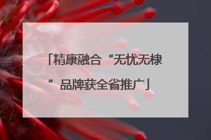 精康融合“无忧无棣”品牌获全省推广