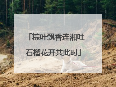 粽叶飘香连湘吐 石榴花开共此时