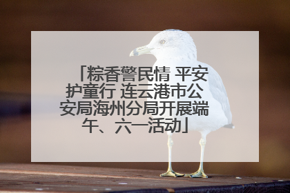 粽香警民情 平安护童行 连云港市公安局海州分局开展端午、六一活动