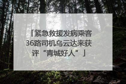 紧急救援发病乘客 36路司机乌云达来获评“青城好人”
