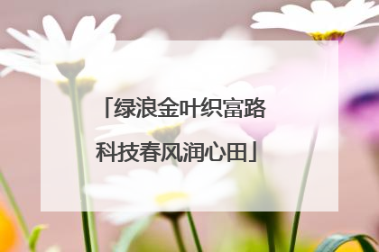 绿浪金叶织富路 科技春风润心田