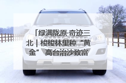 绿满陇原·奇迹三北｜梭梭林里种“黄金” 高台治沙致富很“从容”