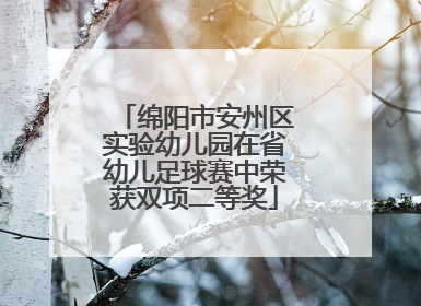绵阳市安州区实验幼儿园在省幼儿足球赛中荣获双项二等奖