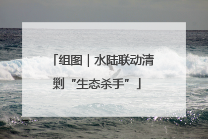 组图｜水陆联动清剿“生态杀手”
