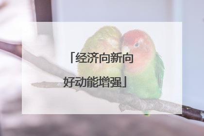 经济向新向好动能增强