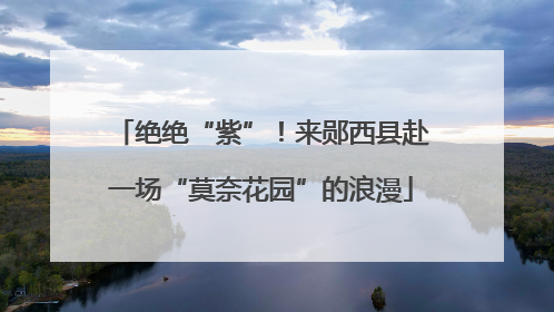 绝绝“紫”！来郧西县赴一场“莫奈花园”的浪漫