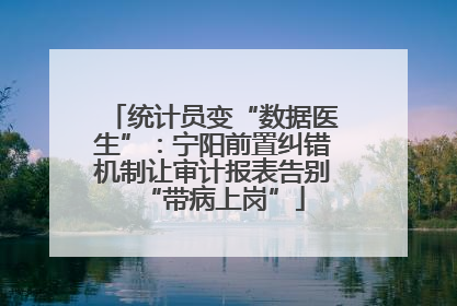 统计员变“数据医生”：宁阳前置纠错机制让审计报表告别“带病上岗”