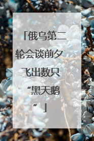 俄乌第二轮会谈前夕 飞出数只 “黑天鹅”