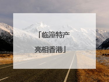 临潼特产亮相香港