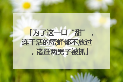 为了这一口“甜”，连干活的蜜蜂都不放过，诸暨两男子被抓