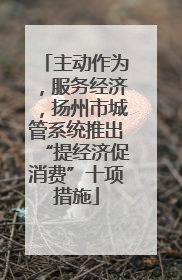 主动作为，服务经济，扬州市城管系统推出“提经济促消费”十项措施