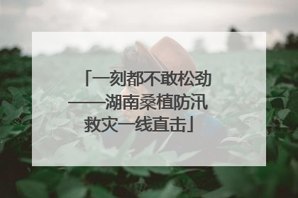 一刻都不敢松劲——湖南桑植防汛救灾一线直击