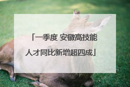 一季度 安徽高技能人才同比新增超四成