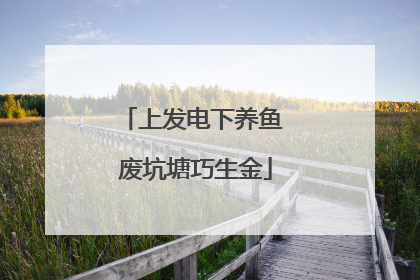 上发电下养鱼 废坑塘巧生金