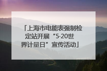 上海市电能表强制检定站开展“5·20世界计量日”宣传活动