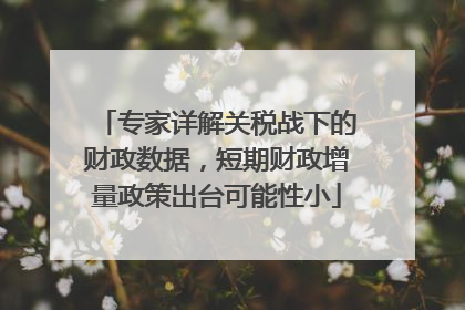 专家详解关税战下的财政数据，短期财政增量政策出台可能性小