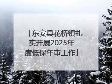 东安县花桥镇扎实开展2025年度低保年审工作
