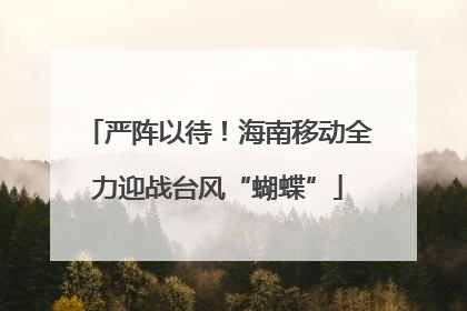 严阵以待！海南移动全力迎战台风“蝴蝶”