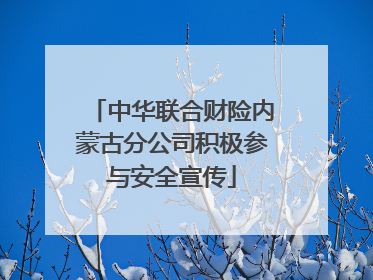 中华联合财险内蒙古分公司积极参与安全宣传