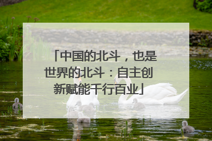 中国的北斗，也是世界的北斗：自主创新赋能千行百业