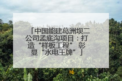 中国能建葛洲坝二公司孟底沟项目：打造“样板工程” 彰显“水电王牌”