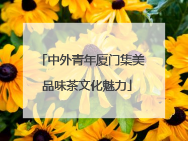 中外青年厦门集美品味茶文化魅力